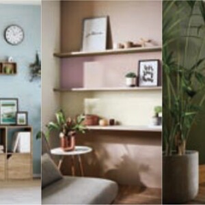 新築戸建てアクセントクロス貼付