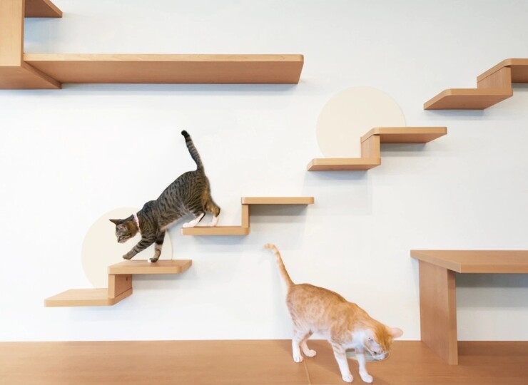 新築戸建て収納棚　猫ステップ